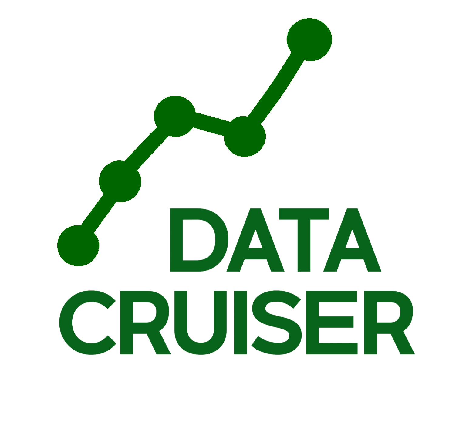 DataCruiser logo